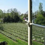 Hotell De Gouden Molen Rossum (Gelderland)