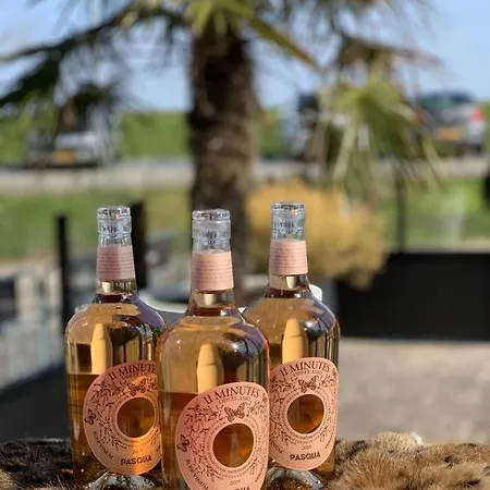 De Gouden Molen 2*