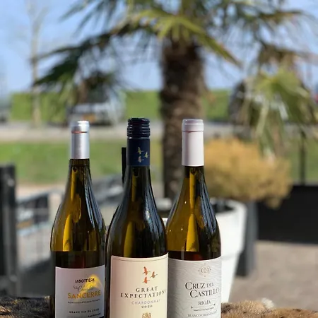 Hotel De Gouden Molen 2*