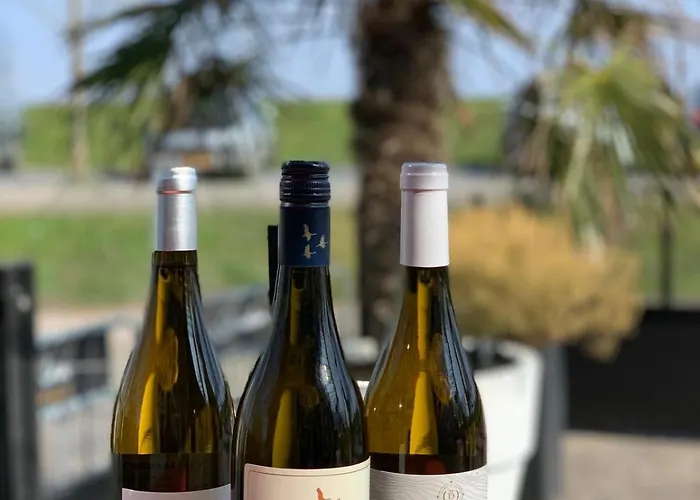 호텔 De Gouden Molen 2*